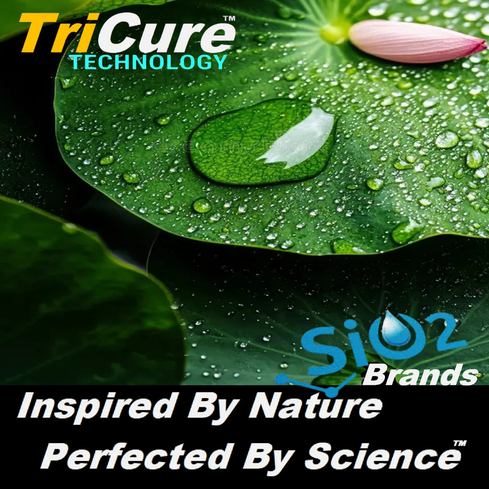 SUPERMAXX POLYSILAZANE CERAMIC CAR COATING ‘5 YEAR’ SCRATCH RESISTANT PROTECTION