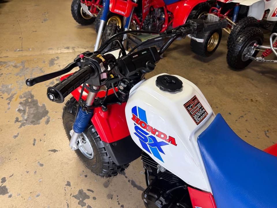 1986 Honda ATC250SX