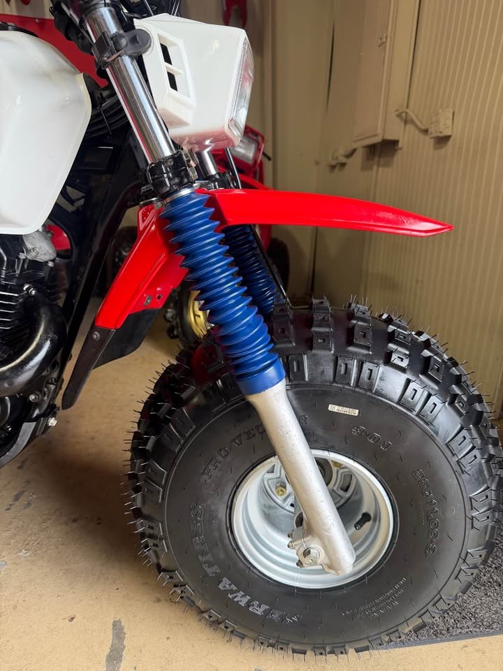 1986 Honda ATC250SX