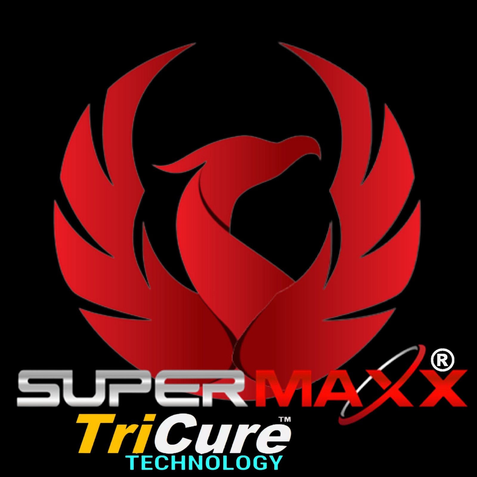 CERAMIC CAR COATING “5 YEAR TRICURE TECHNOLOGY” PAINT PROTECTION WET LOOK GLOSS