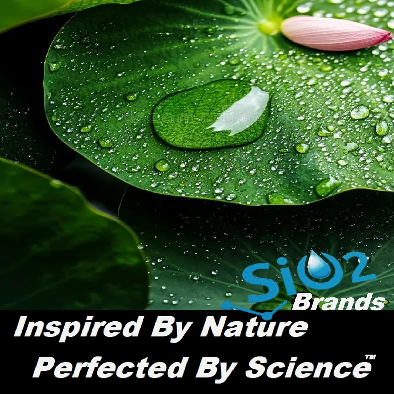 CERAMIC CAR COATING 5 YEAR SCRATCH RESISTANT “ADVANCED 9H PROTECTION PRO GRADE”