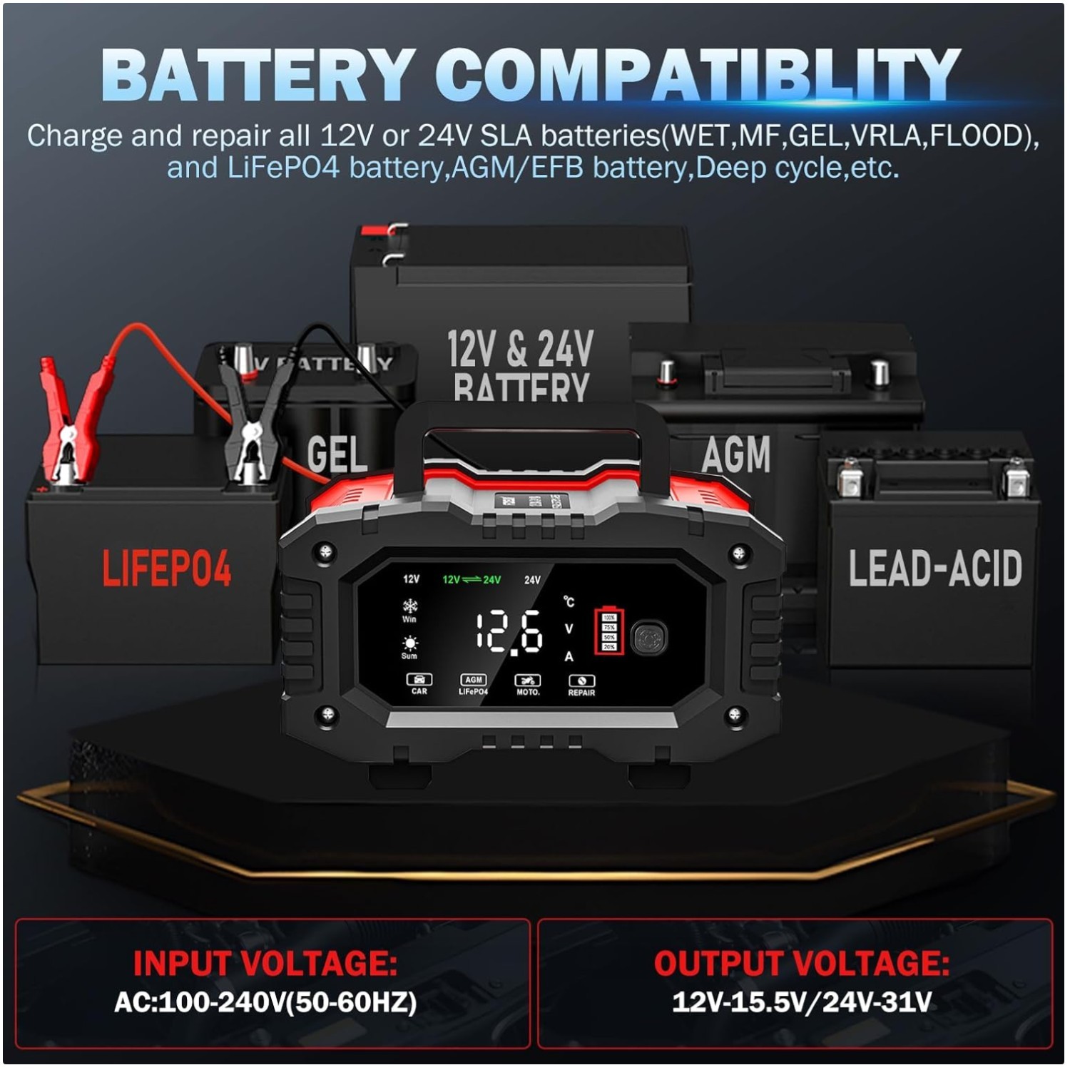 20A Car Battery Charger, 12V/20A & 24V/10A