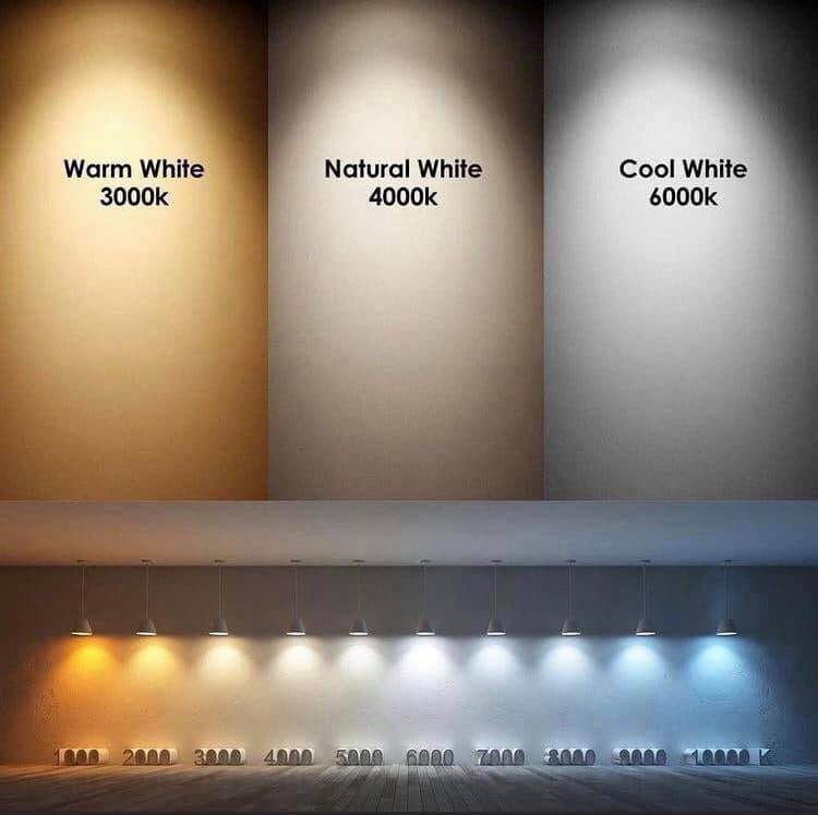 12 Volt Warm White 5mm LEDs with Resistor for Chevy GMC Gauge Clusters 20 Qty