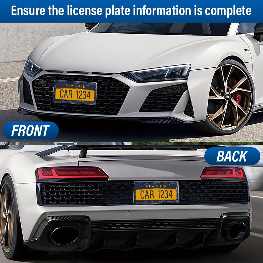 Blue Flakes Forged Carbon Fiber License Plate Frame for US Standard Car