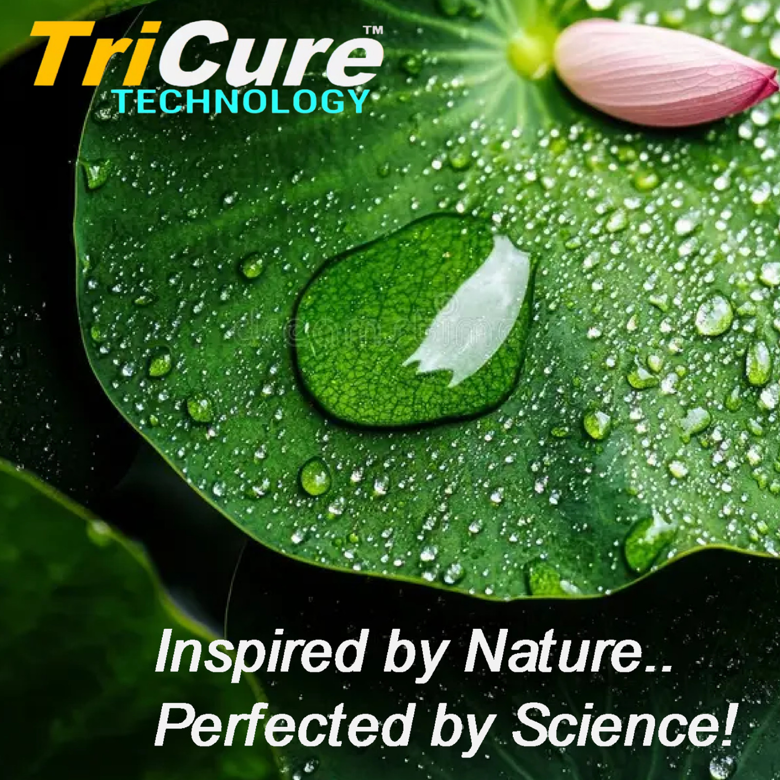 CERAMIC CAR COATING “5 YEAR ADVANCED PROTECTION” POLYSILAZANE TRICURE TECHNOLOGY