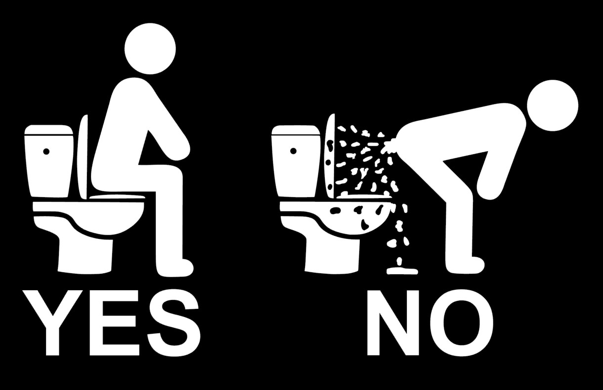 Bathroom YES NO Toilet Decal JDM Funny Decal for Toilet, Tank, Windows, Outdoors