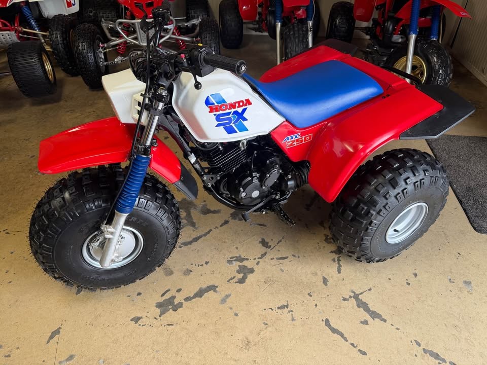 1986 Honda ATC250SX