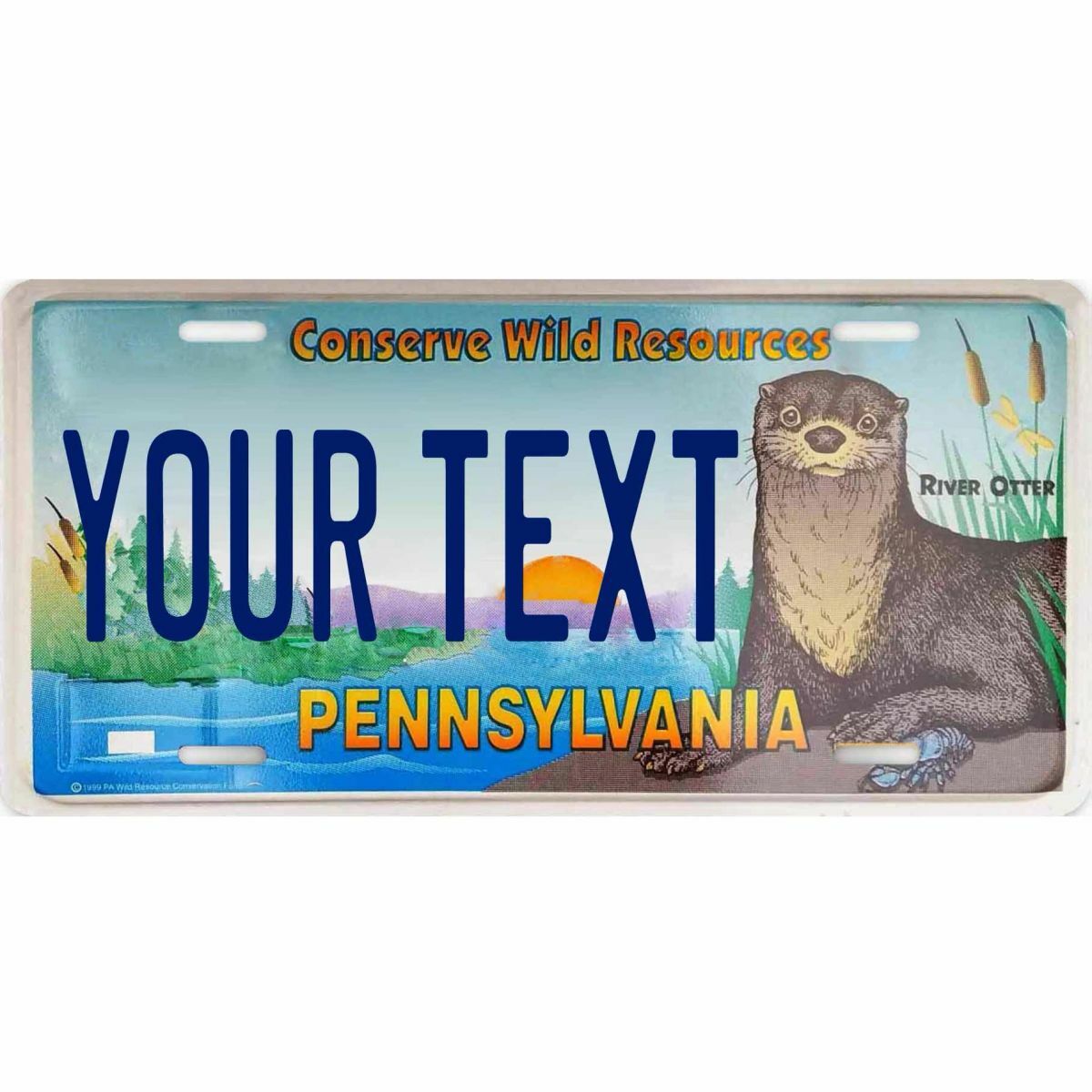 Pennsylvania Conserve Wild Resources Custom Personalized License Plate YOUR TEXT